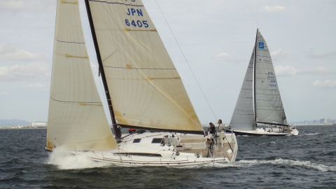 Obrázek 598